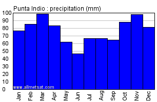Punta Indio Argentina Annual Precipitation Graph
